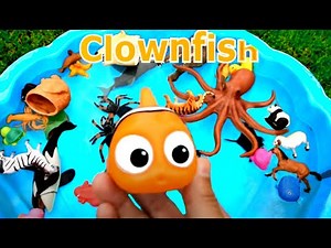 Learn With Wild Animals and Sharks in Blue Water Tub Toys