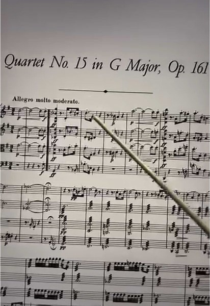 Franz Schubert: String Quartet No. 15 Overview