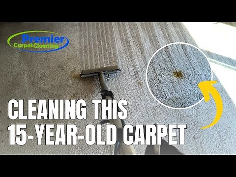Mastering Carpet Cleaning: Stain Treatment and Steam Cleaning Tips