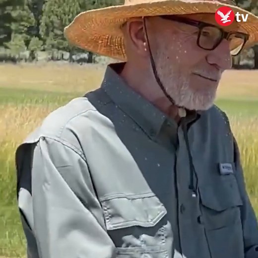 Patrick Stewart sings and rides horse as he celebrates 82nd birthday | The Independent