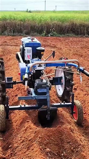 A walking digging tool for planting #shorts