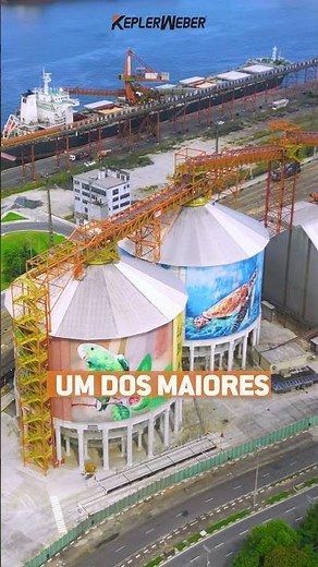 🚢 KW Robust no Terminal XXXIX no Porto de Santos 🌍