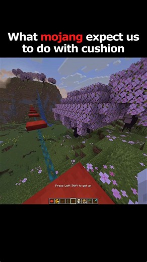 what mojang expect us to do with cushion
