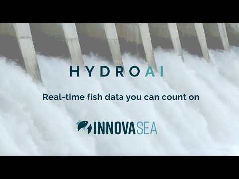 HydroAI Automated Fish Counting and Identification