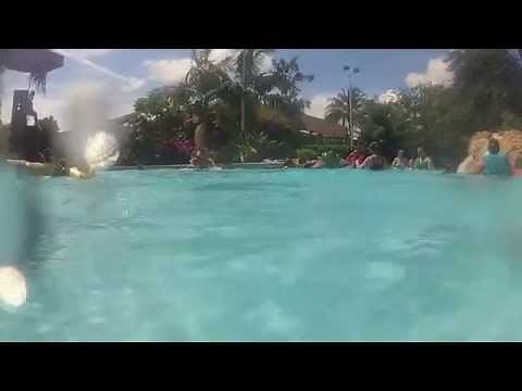Roa's Rapids lazy river swim through at Aquatica in Orlando Florida