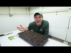 When + When NOT to Use a Heat Mat and Humidity Dome For Seed Starting