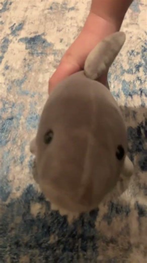 Spring trap jump scare be like