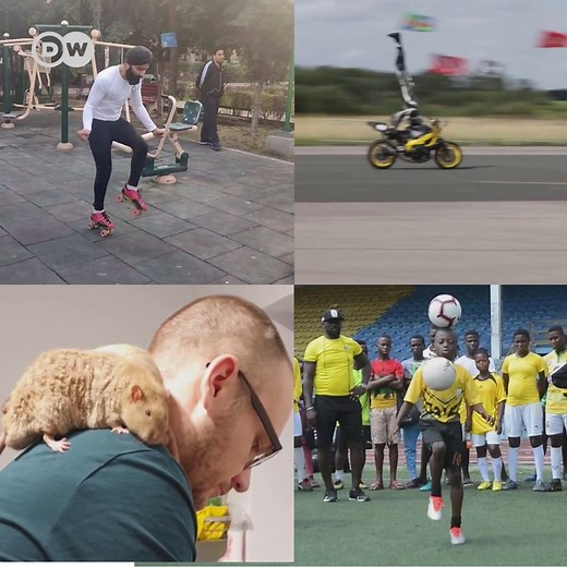 Meet the new Guinness World Record breakers, including two rats. | DW News