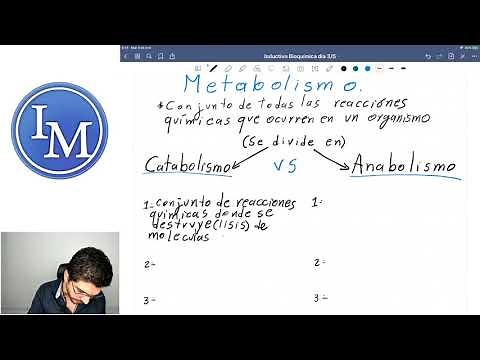 Introduction to Biochemistry | Lecture 1 | Metabolism, Anabolism, and Catabolism