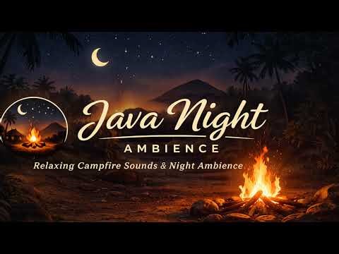 Live Stream Java Night Ambience