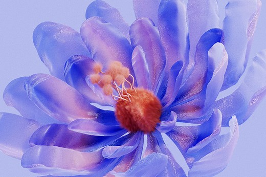 【Blender】30分钟完整教程制作花朵｜针对零基础｜快速上手！