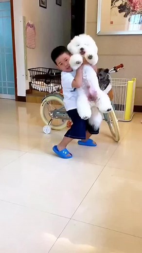 #funnydog #funny #cutedog #dog #cute #minidog #fyp #foryou #fypシ