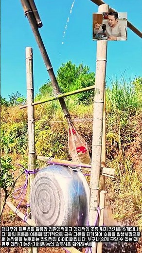 대나무 조류 퇴치기 제작법 #worker #process #farming #agriculture #diy
