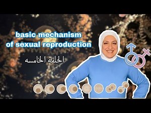 Episode 5 of Basic mechanism of sexual reproduction: Folliculogenesis