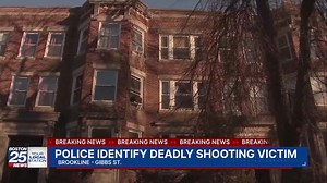 Victim of deadly Brookline shooting identified as MIT lab director, professor