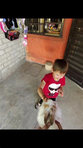 Pero es mujer o hombre #parati | man vs woman