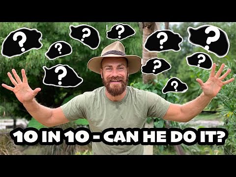10 TURTLE Species in 10 MINUTES!