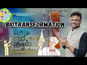 Biotransformation Explained| Principle, Process, Examples, Advantages & Limitations in Biotechnology
