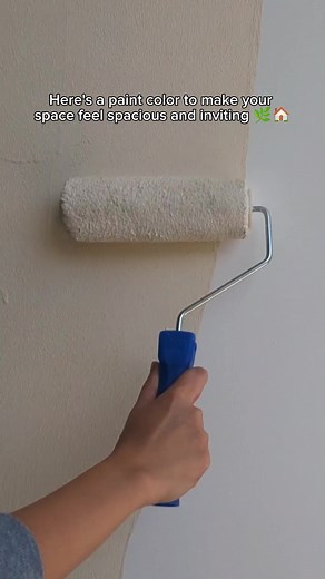 Warm and Inviting Paint Color: Davies Megacryl Wind Whisper (MCS-0109)