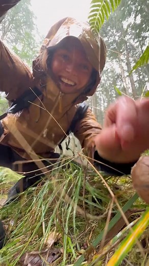 Have you seen puffballs go PUFF?! These beloved round fungi are solid when young, but as they mature, they turn into a spore-filled chamber that puffs out clouds of spores. This clever dispersal mechanism helps ensure the spores travel far when they get knocked by raindrops! One common species, which is featured in this video, is the pear-shaped puffball (Lycoperdon pyriforme), named for its tiny pear-like shape. It often grows in clusters on decaying wood, aiding nutrient recycling in ecosystem