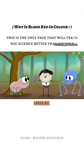 Why Is Blood Red? 🩸(more details in description)