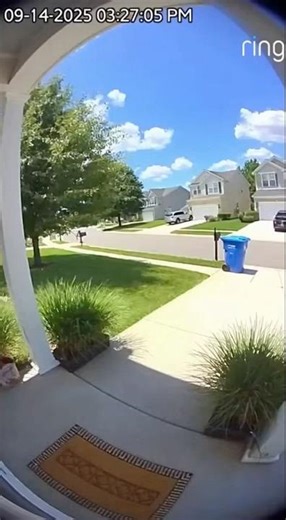 Shopping Cart Comes Out of Nowhere #funny #doorbellcam #aicomedy