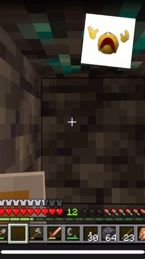 Noooooo #minecraft #minecraftgameplay #gaming #minecraftgaming #funny #noo #diamonds #fyp