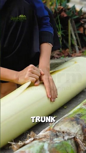 From Banana Waste to a Handmade Hammock #shorts #bananafiber #handmadehammock