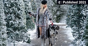 ‘The Princess Switch 3’ Review: Meow, It’s Fiona’s Turn (Published 2021)