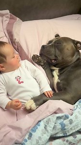 Ssshhh mino fa la nanna 😴😴💤💤 | Hilda Frey