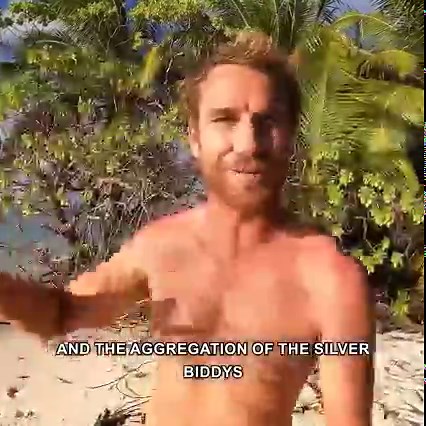 This feeding frenzy of sharks is wild! | Back 2 Basics Adventures