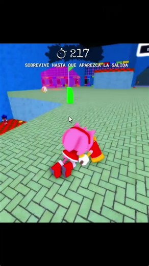 Creative Gameplay in Sonic the Disaster on Roblox