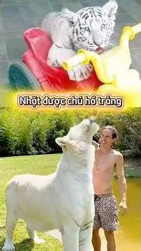 Nhặt được chú hổ trắng và cái hết#shorts