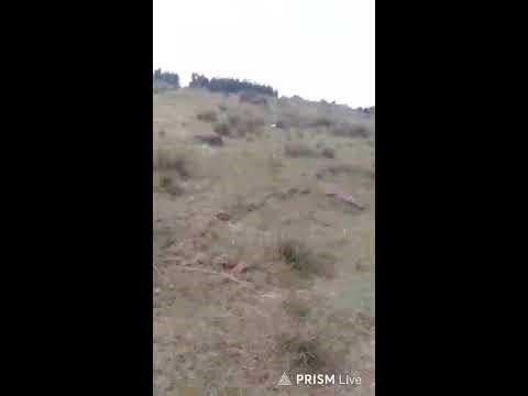 Live streaming of Body Code Media