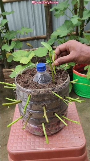 🌿🔥 Zero-Waste Gardening Idea! | Plastic Bottle Planter + Natural Compost ♻️ #shorts #verticalgarden