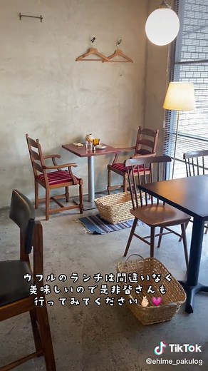 愛媛県松山市で最高のランチスポット