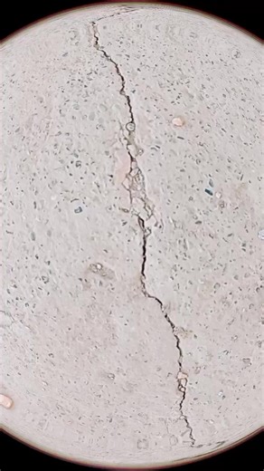 Videos de Jack (@jack.2013r) con “sonido original - Jack”