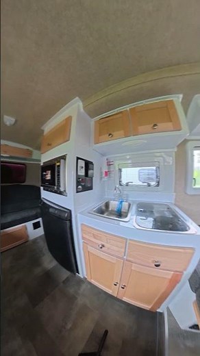 Your Scamp, Your Way