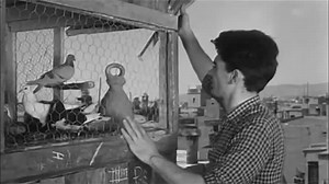 Distrito quinto 1957