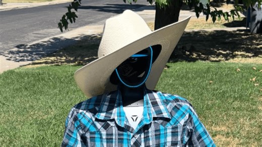 Central Valley engineer brings humanoid robot "Romeo" out of the lab