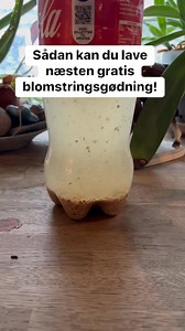 Sådan kan du ekstrahere calcium fra dine æggeskaller - super gødning til frugtsættende planter. #gødning #jydehaven #køkkenhave #tomater | Jydehaven.dk