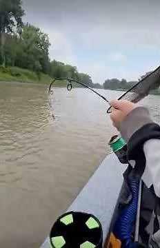 BIG CAT✅MINI ROD✅NO PROBLEM✅ - UGLY STIK DOCK RUNNER #uglystik #fishing #dockrunner #minirod