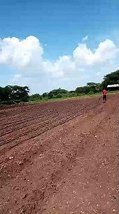 Kilimo Biashara on Reels