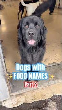Dogs Named After Food
