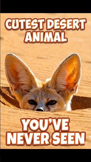 Fennec Fox 🦊 The Cutest Desert Animal You’ve Never Seen!