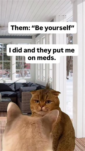 daveyboyyyyyy on Instagram: "#cat #meds #beyourself #medicated #reels #memes"