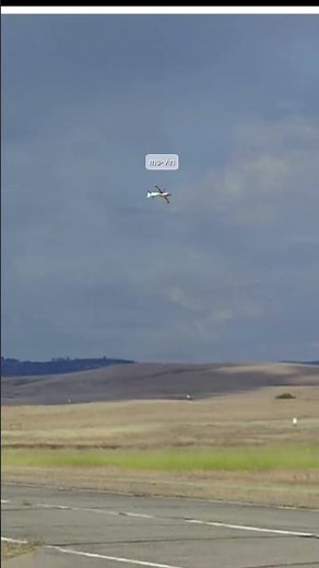 Real flight 9.5 , training four-points roll and slow roll with Pilot-RC Extra NG 103