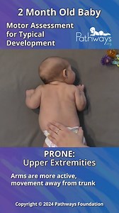 This video highlights the typical expectation for a 2-month-old baby for specific areas of the body while they are in the prone position (on tummy). See how baby may move their head, trunk, upper extremities, and lower extremities. If you have any concerns, reach out to your healthcare provider. 🧑🏽‍⚕️ Stay tuned for our next typical assessment video where we will highlight a 3-month-old baby in prone position (on tummy). For more FREE resources and information on your 2-month-old's development