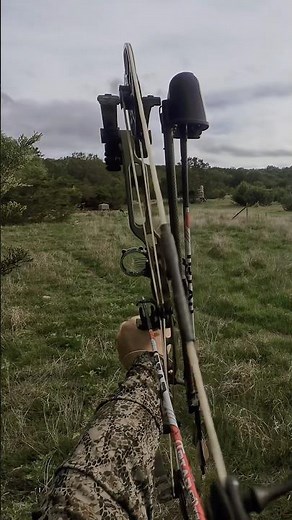 58 yard pov shot on a Texas Hog! #archery #hunting #bowhunting #hoghunting #texas s