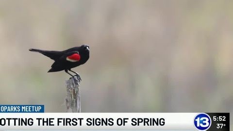 Metroparks Meetup: Spotting the first signs of Spring | Haystack News